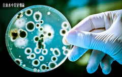 净水器不用更换滤芯?洗一洗看起来就干净了?