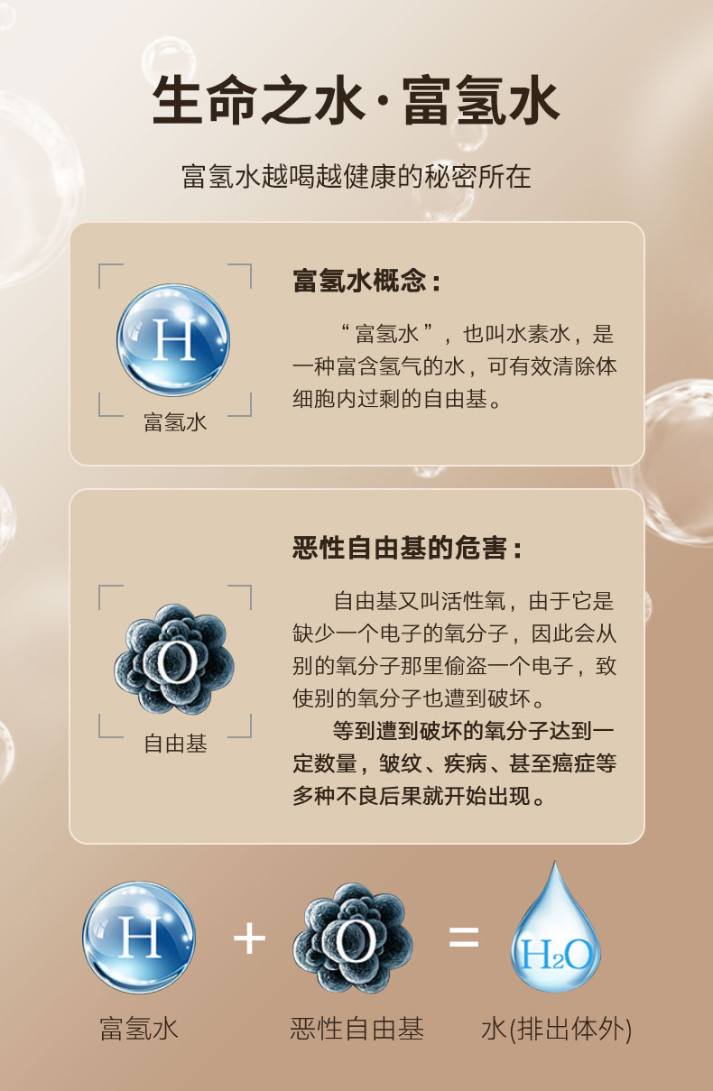 T3H-威世尔顿_04.jpg