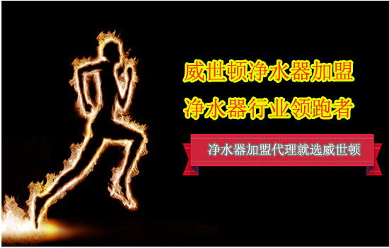 威世顿净水器加盟，净水器行业的领跑者