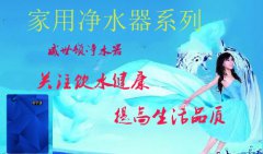 净水器加盟威世顿解析农村新战略