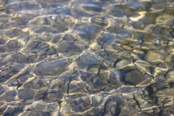 微信图片_20180802103823.png 微信图片_20180802103823.png