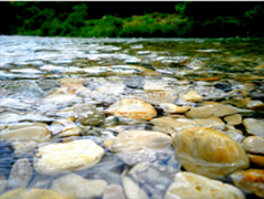 衣服脏了有水，水脏了有净水器，健康没了有什么？