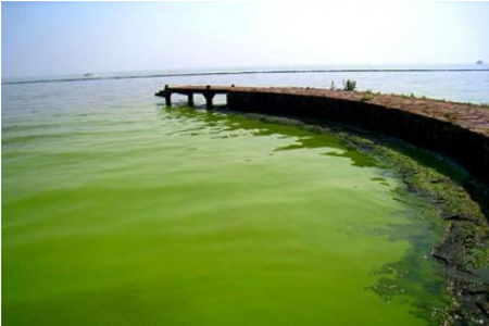 微信图片_20180824103832.png 微信图片_20180824103832.png