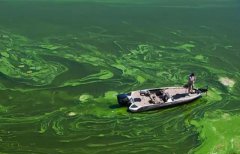 净水器加盟哪家好呢？