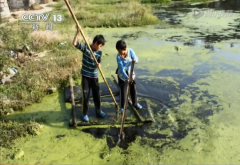 净水器代理加盟哪个牌子|哪个厂家好赚钱?