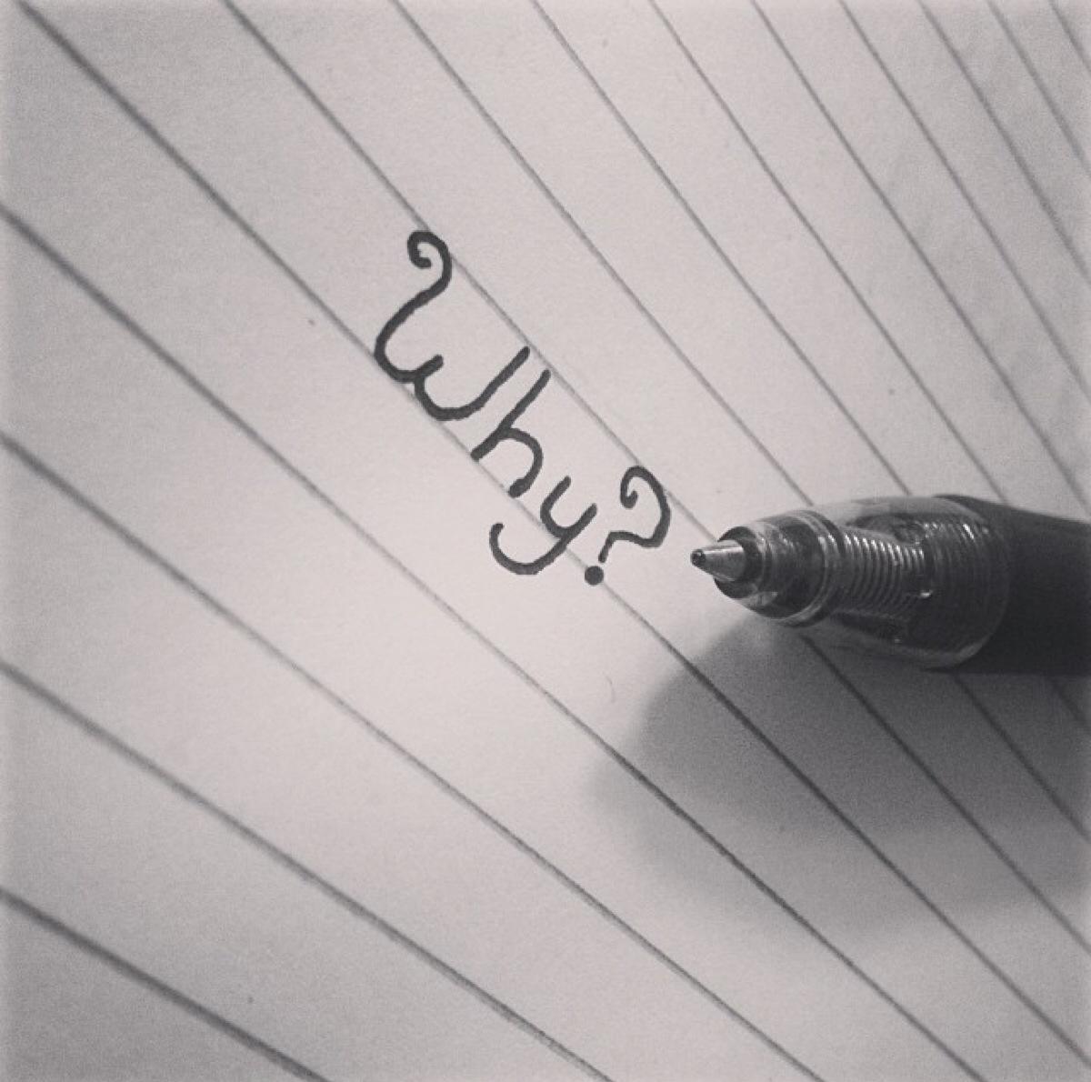 timg (4).jpg timg (4).jpg