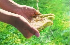 净水知识已写进教材，净水器普及大势所趋…