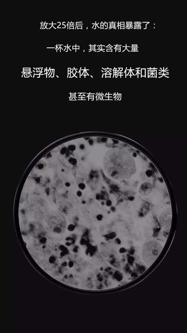 微信图片_20180817153353.jpg