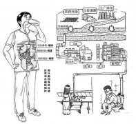 人体健康缺不了？