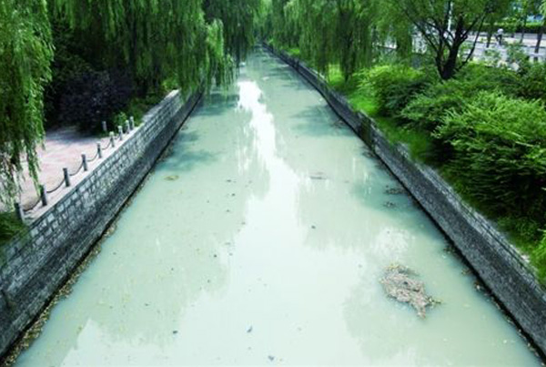 山东济南水质污染严重