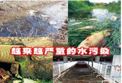 21世纪选择净水器加盟代理的理由 21世纪选择净水器加盟代理的理由