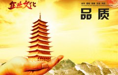 威世顿是国际品牌吗?